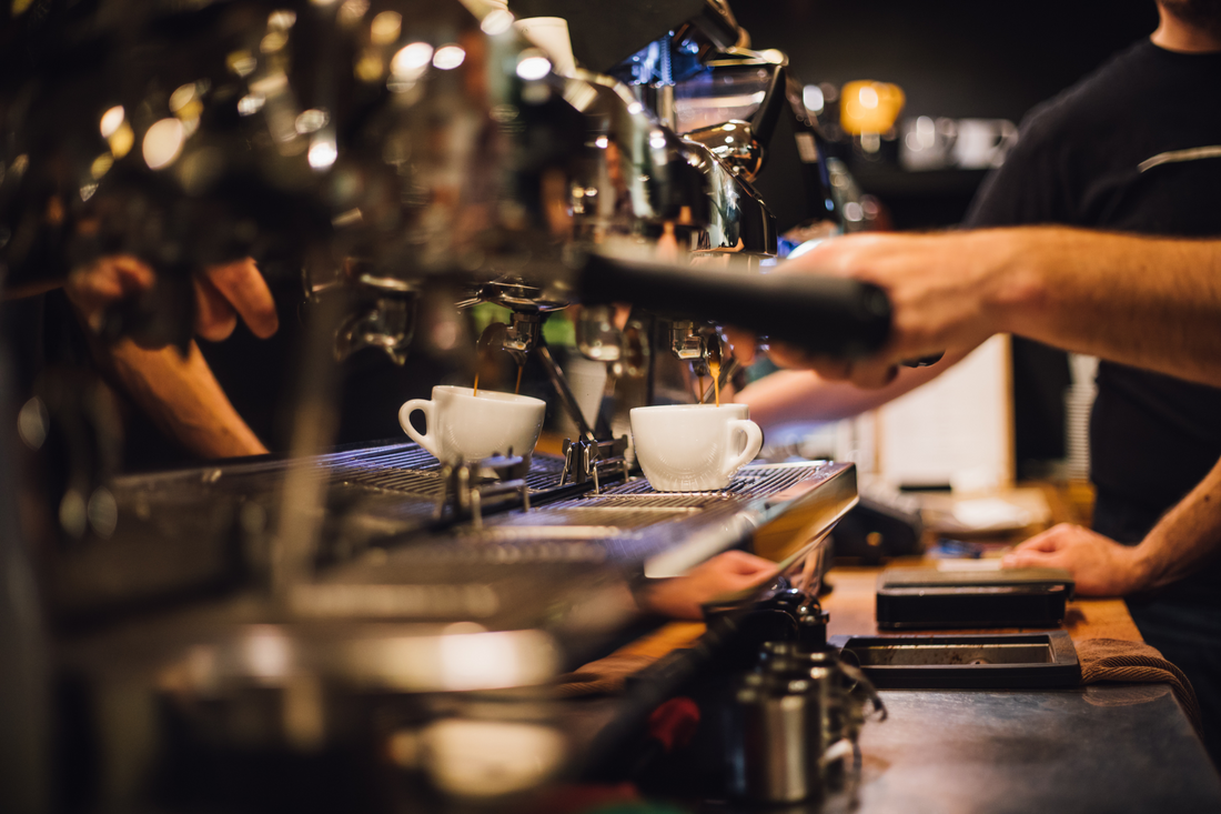 Wholesale Coffee Supplier California | Ratio Roast