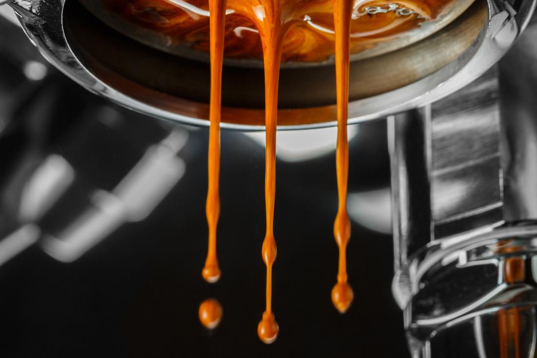 Wholesale Coffee Supplier California | Ratio Roast