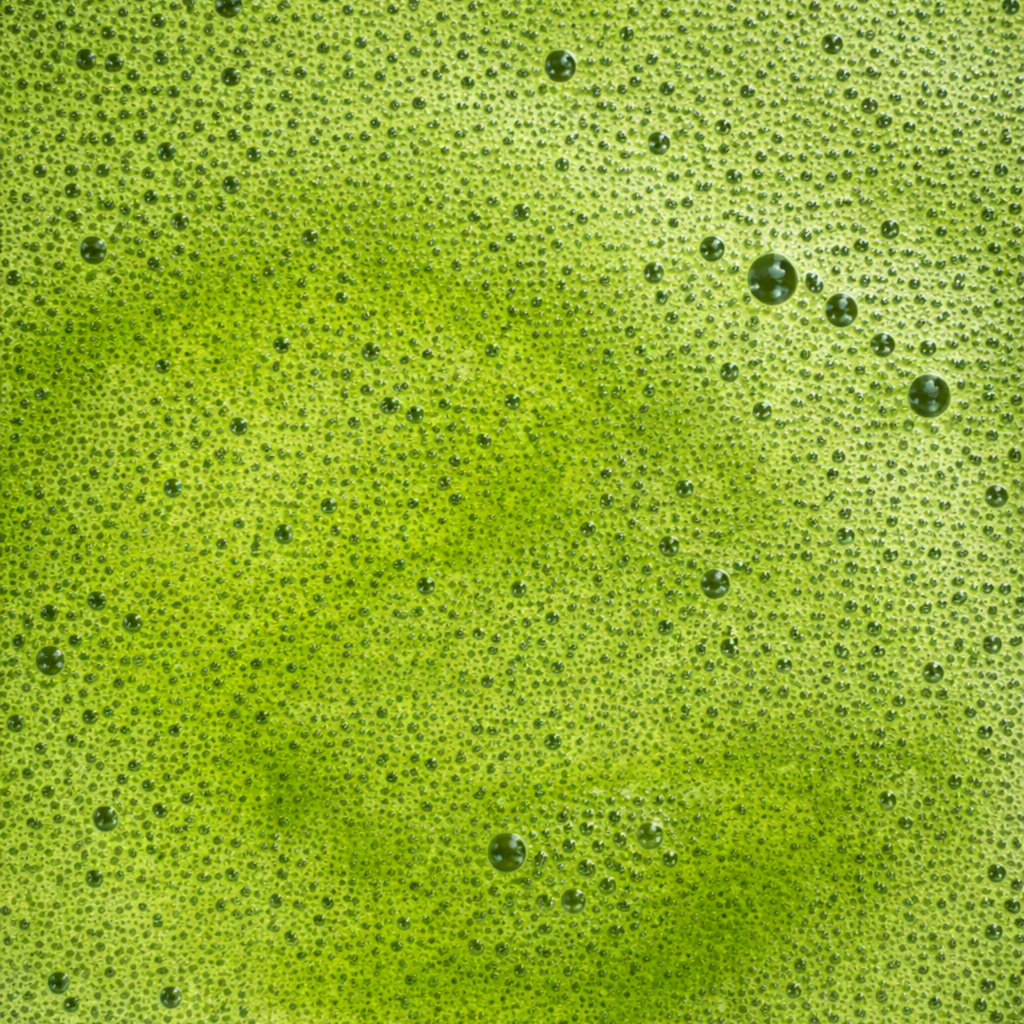 Organic Matcha Mood Green Tea Ceremonial Grade