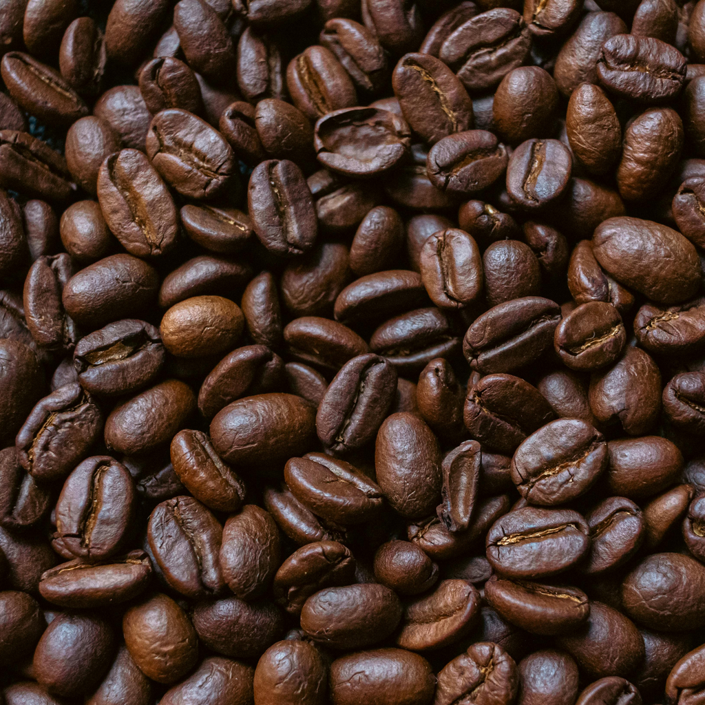 Chasing Twilight - Specialty Dark Roast