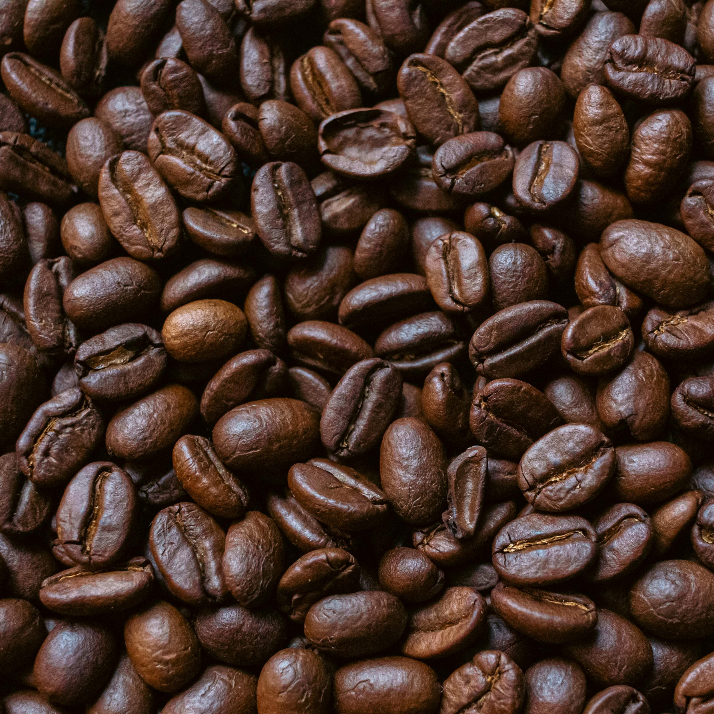 Chasing Twilight - Specialty Dark Roast
